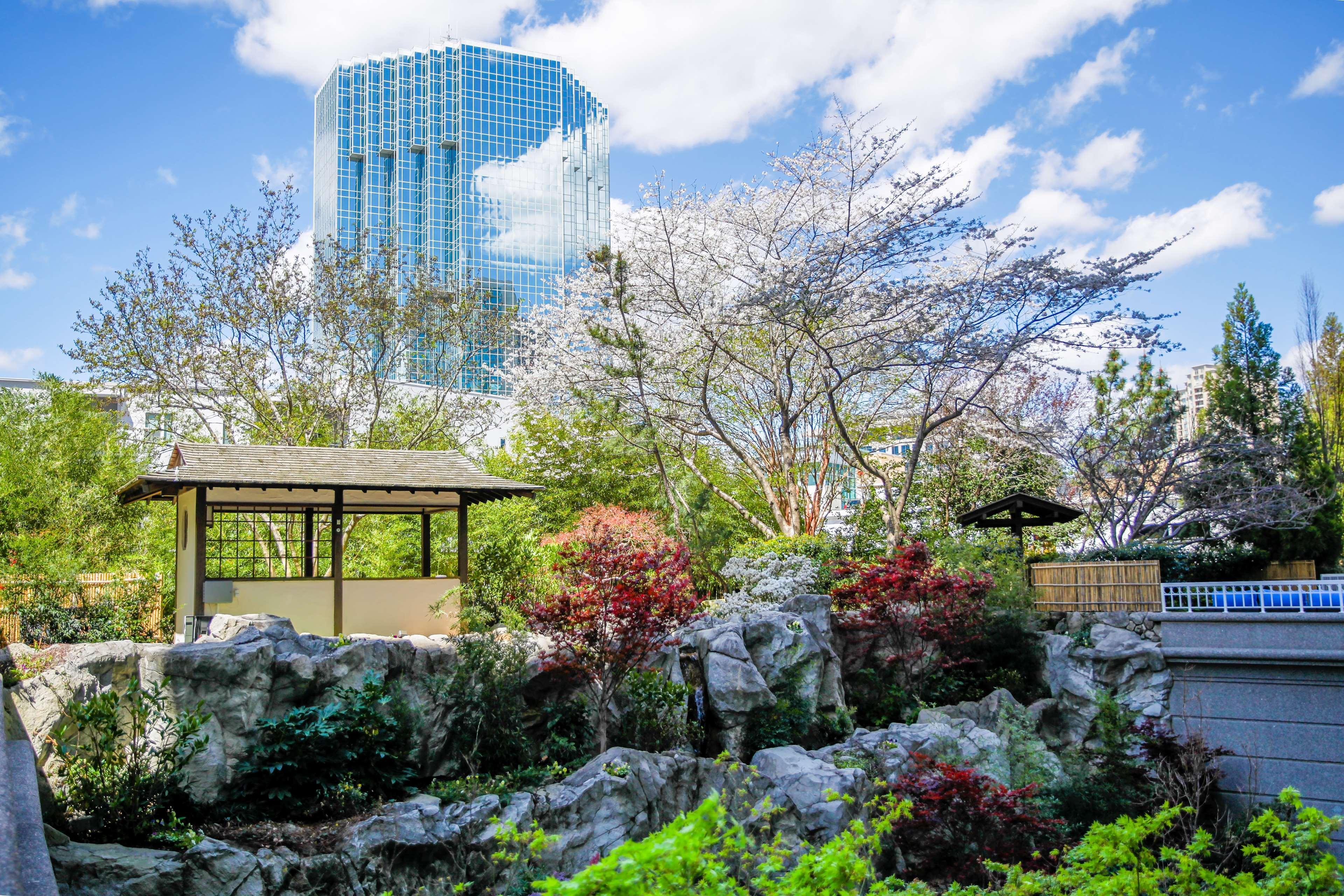 Hotel Grand Hyatt In Buckhead 4*