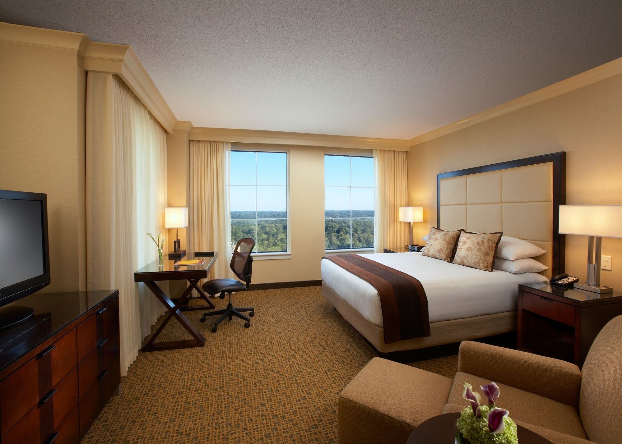 Hotel Grand Hyatt In Buckhead